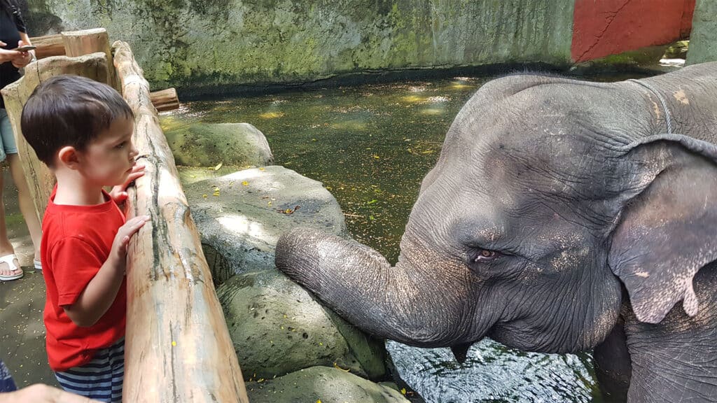 what to do in bali with kids