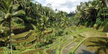 Why is Ubud so special?